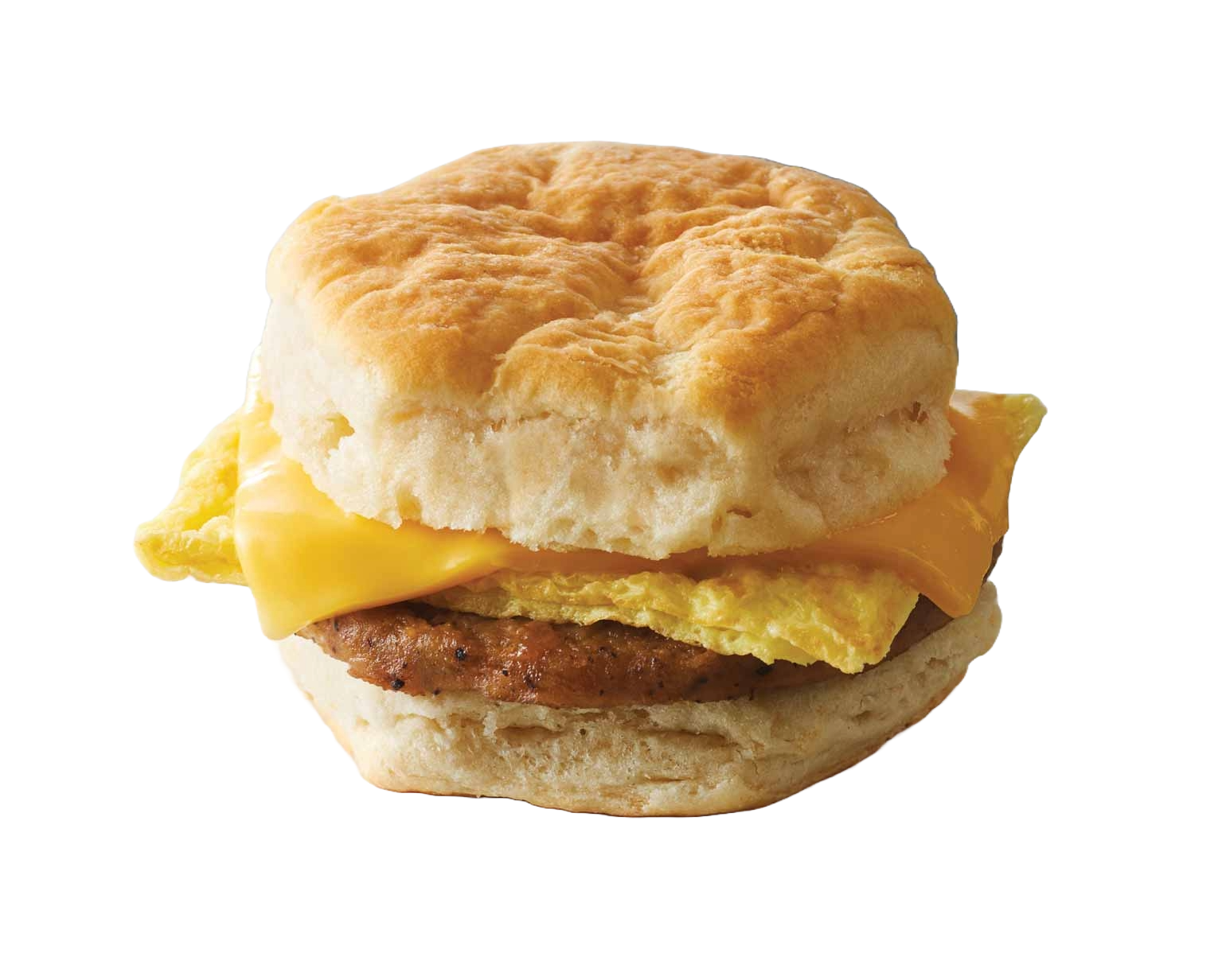 Meat Biscuit